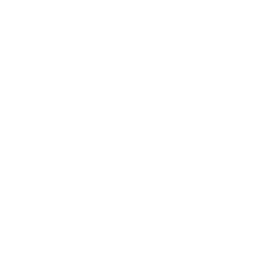 LIS Logo